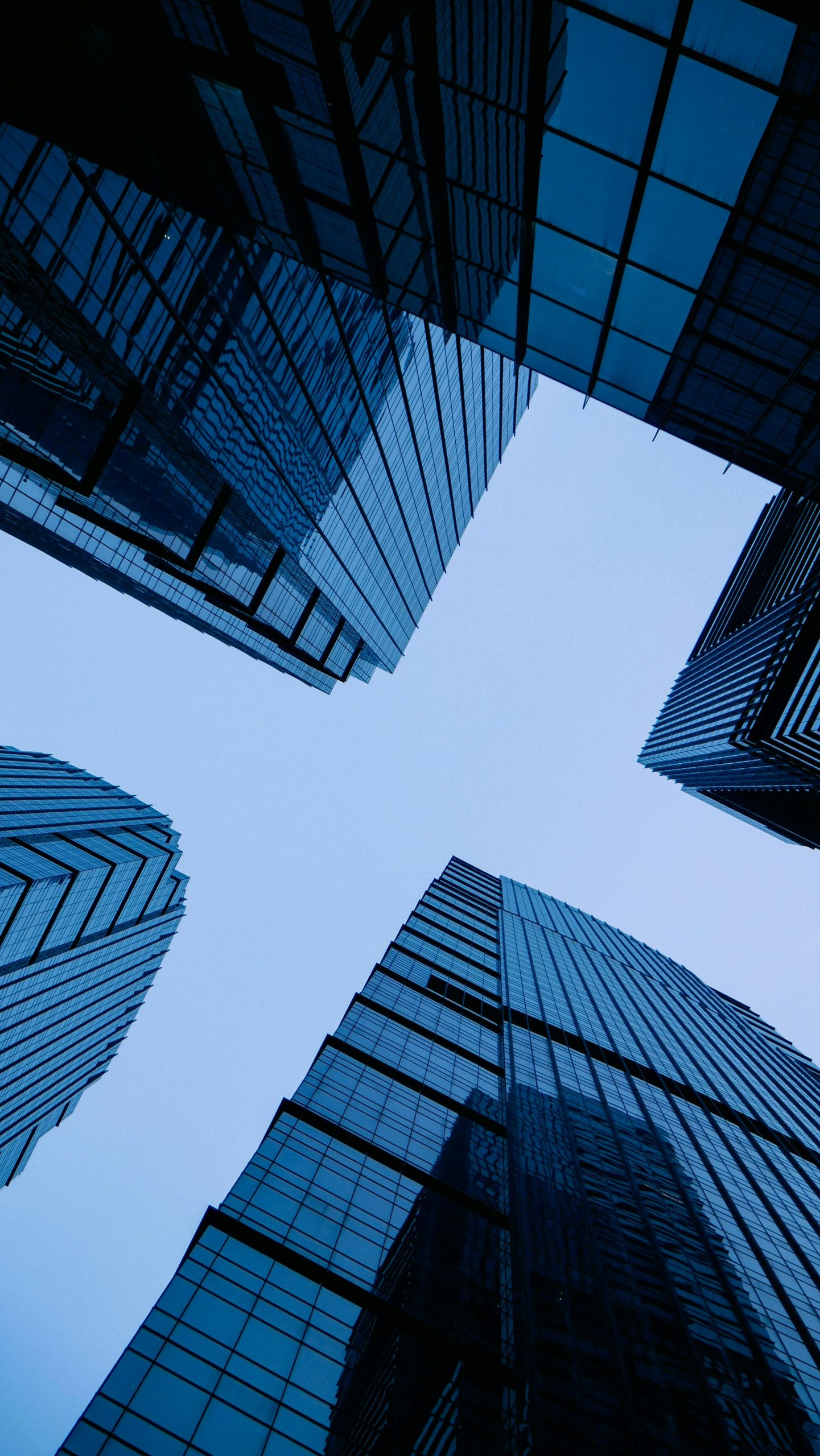 Asset and Portfolio Management